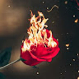 Meet your Posher, Georgie